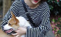 女孩梦三十下载